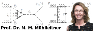 Prof. Dr. M. M. Mühlleitner